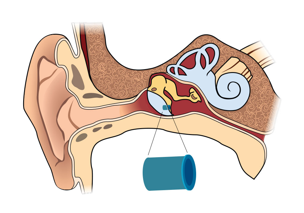 - Mississippi Ear Nose & Surgical Associates